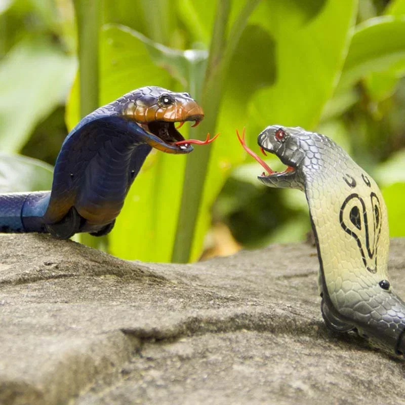 RC Snake Realistic Snake Toys  - Ir Infrared Receiver reseña y precio